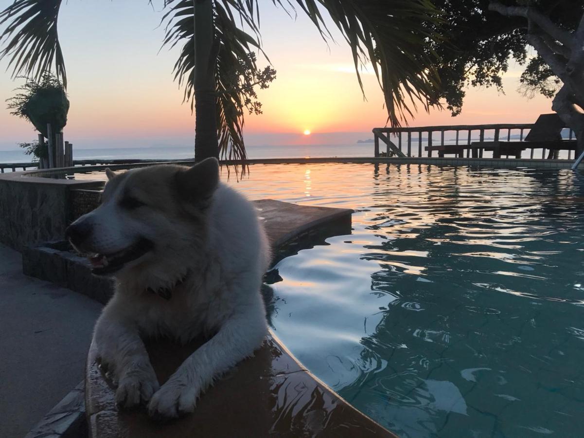 Petit Suncliff Resort Haad Rin Dış mekan fotoğraf